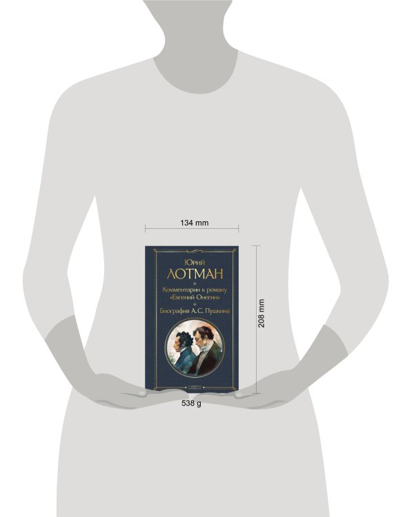 Комментарии к роману «Евгений Онегин». Биография А. С. Пушкина