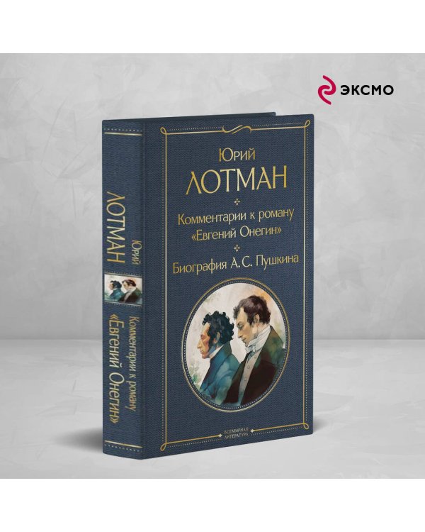 Комментарии к роману «Евгений Онегин». Биография А. С. Пушкина