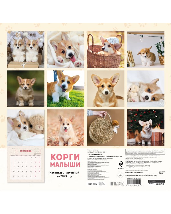 Корги малыши. Календарь настенный на 2023 год (300х300 мм)