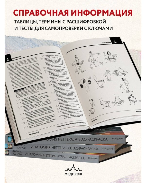 Анатомия Неттера: атлас-раскраска