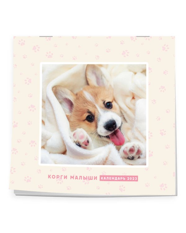 Корги малыши. Календарь настенный на 2023 год (300х300 мм)
