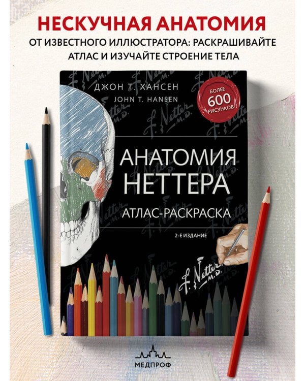 Анатомия Неттера: атлас-раскраска