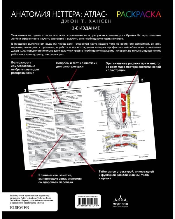 Анатомия Неттера: атлас-раскраска