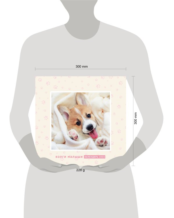 Корги малыши. Календарь настенный на 2023 год (300х300 мм)