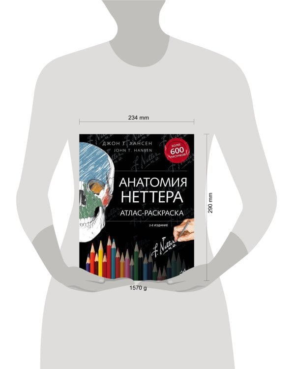 Анатомия Неттера: атлас-раскраска