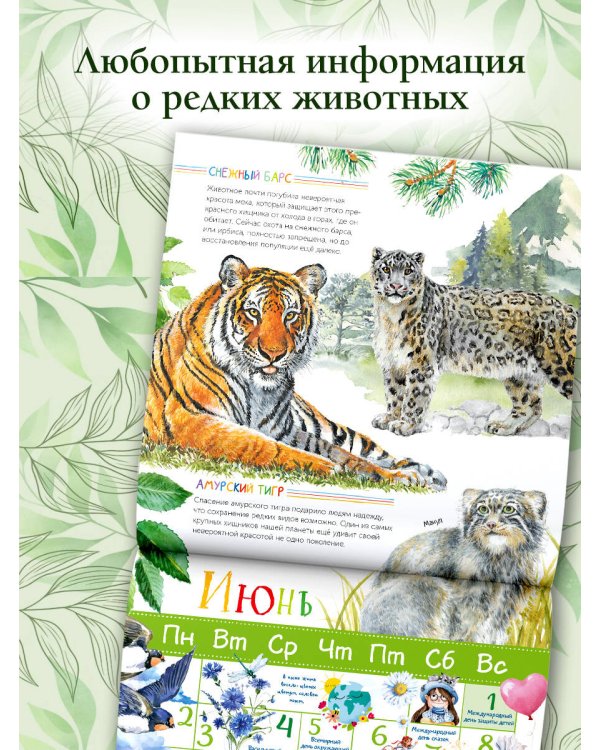 Красная книга мира. Календарь для детей. 2025 год