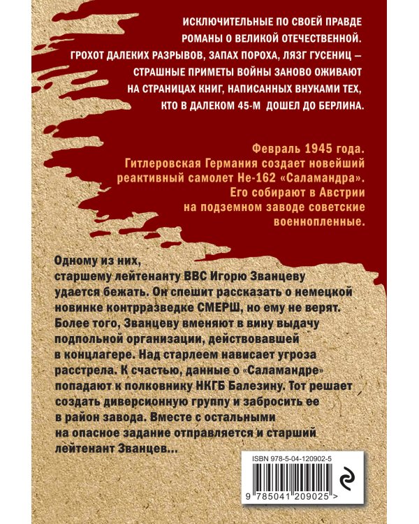 Небесные мстители