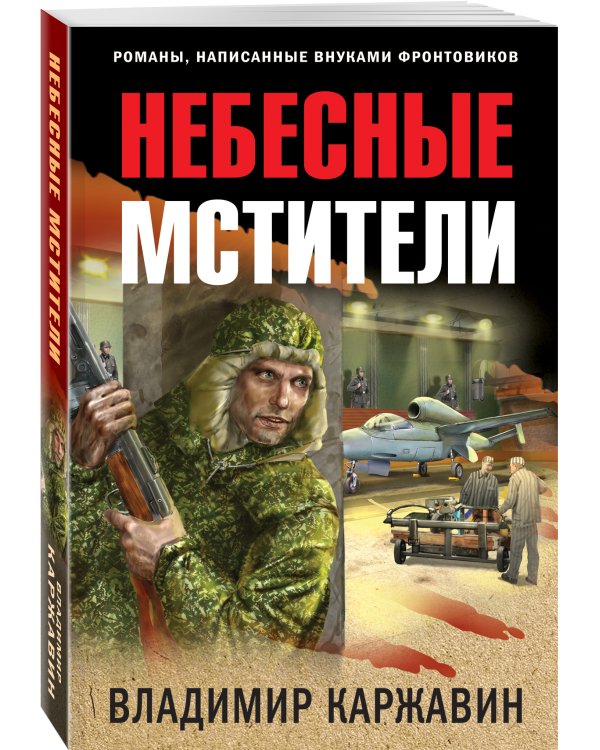 Небесные мстители