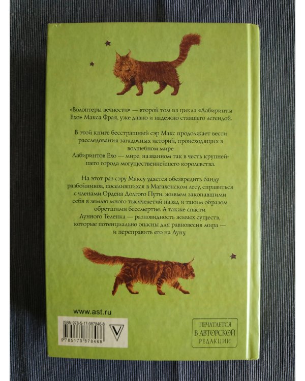 Волонтеры вечности