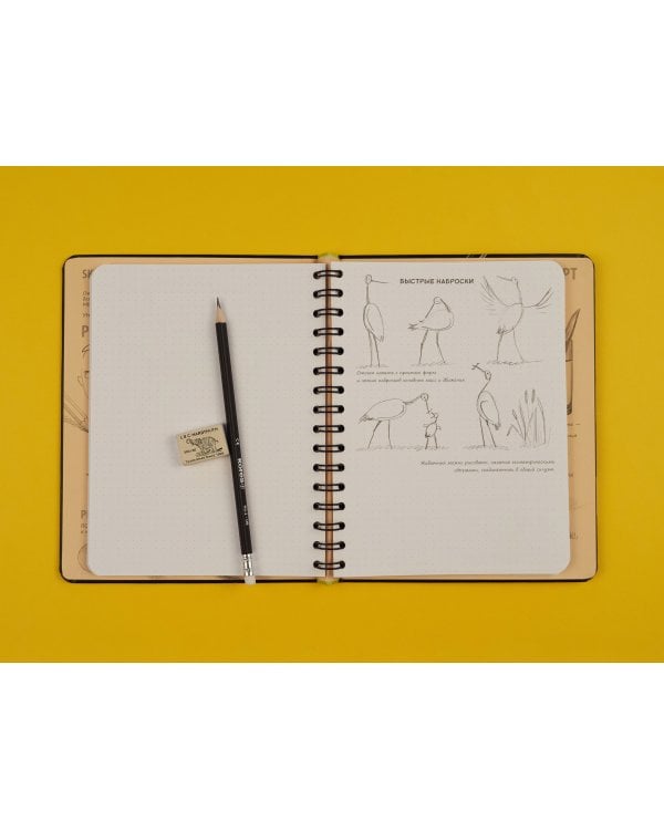 Sketchbook с уроками внутри. Визуальный экспресс-курс по рисованию (черный)