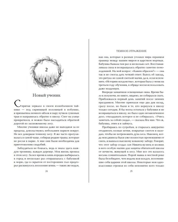 Тёмное отражение