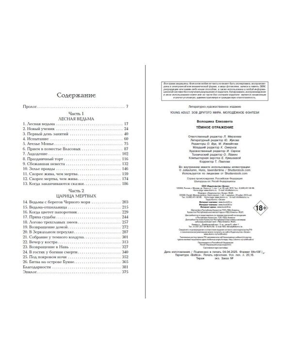 Тёмное отражение