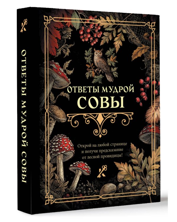 Ответы мудрой совы
