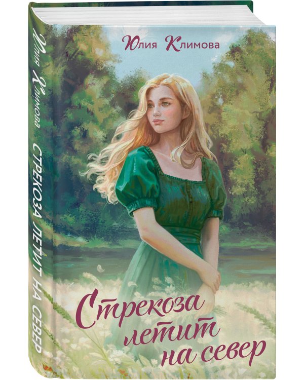 Стрекоза летит на север