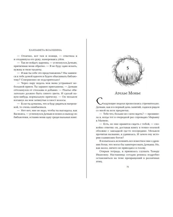 Тёмное отражение