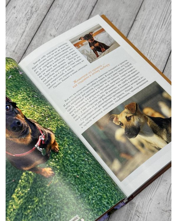 Домашние животные. Популярный иллюстрированный гид