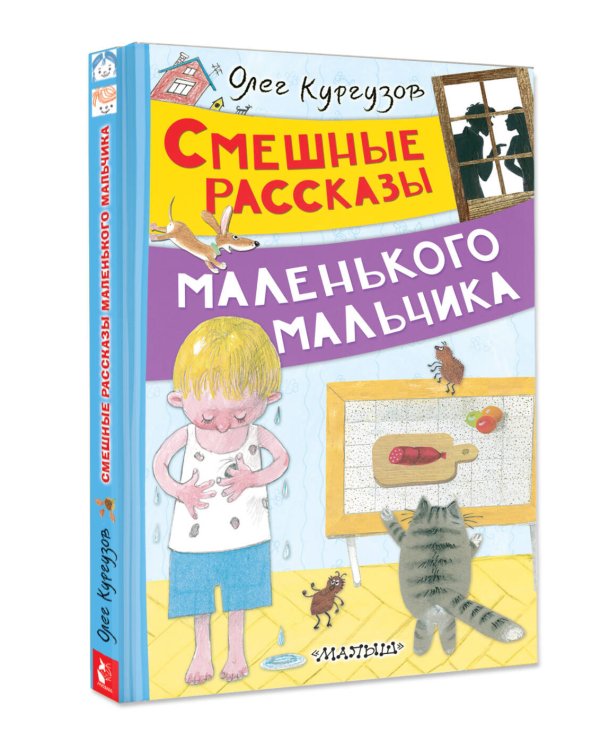 Смешные рассказы маленького мальчика