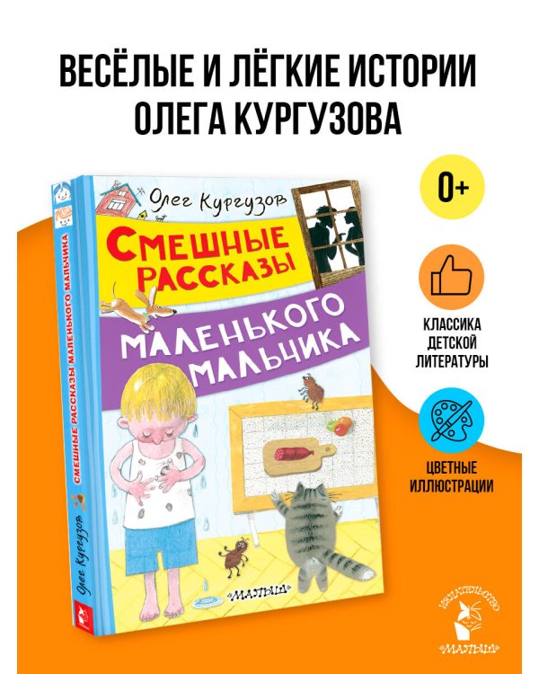 Смешные рассказы маленького мальчика