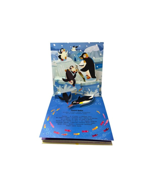 Животные. Pop-up панорамка с крупными буквами