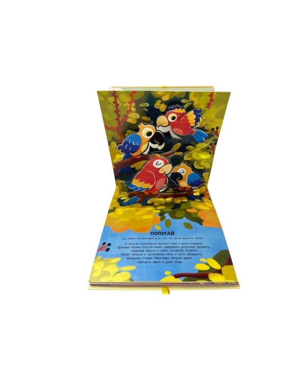 Животные. Pop-up панорамка с крупными буквами