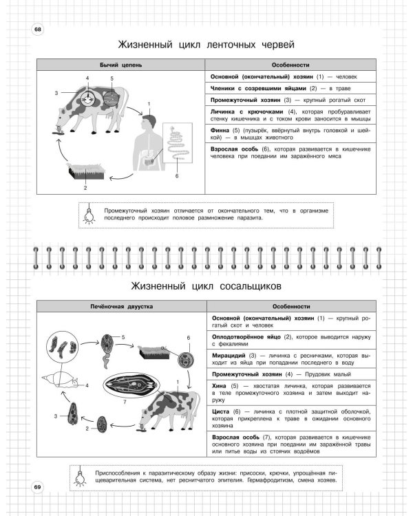 Биология: 5-11 классы