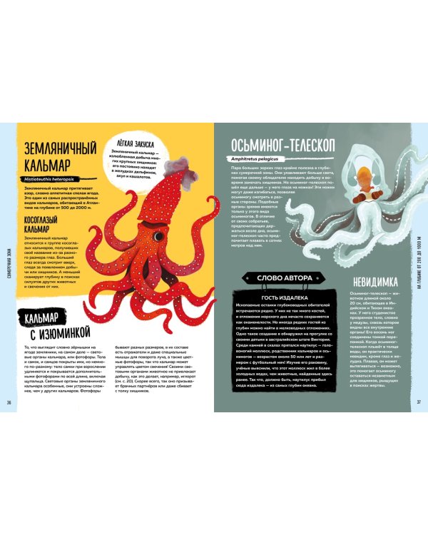 Мир вокруг тебя. Тайны мирового океана