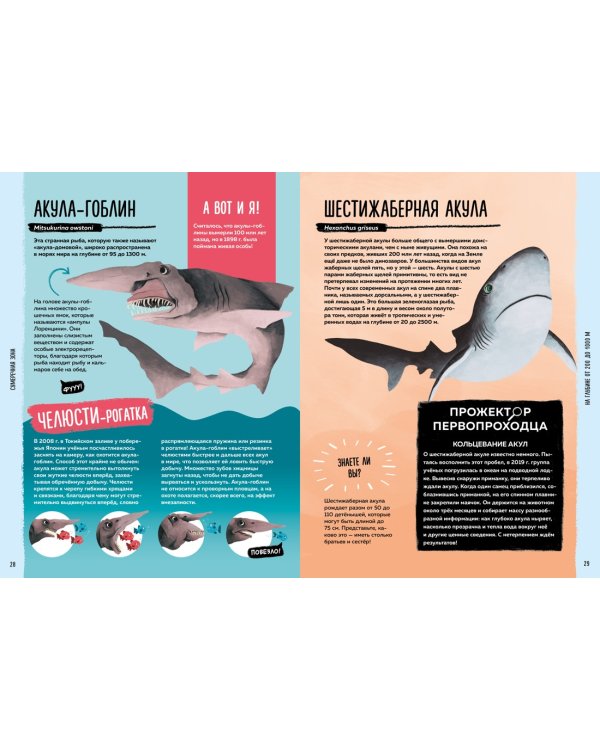 Мир вокруг тебя. Тайны мирового океана