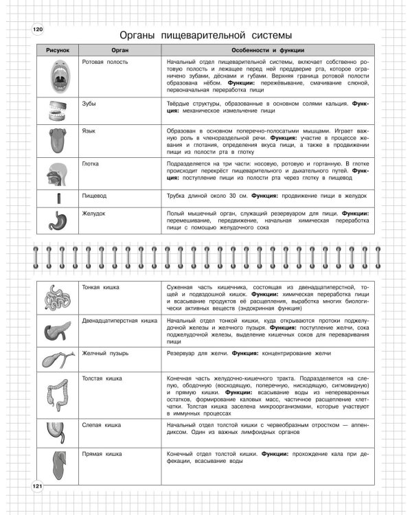 Биология: 5-11 классы