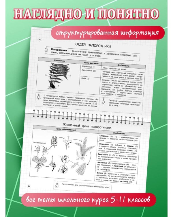 Биология: 5-11 классы