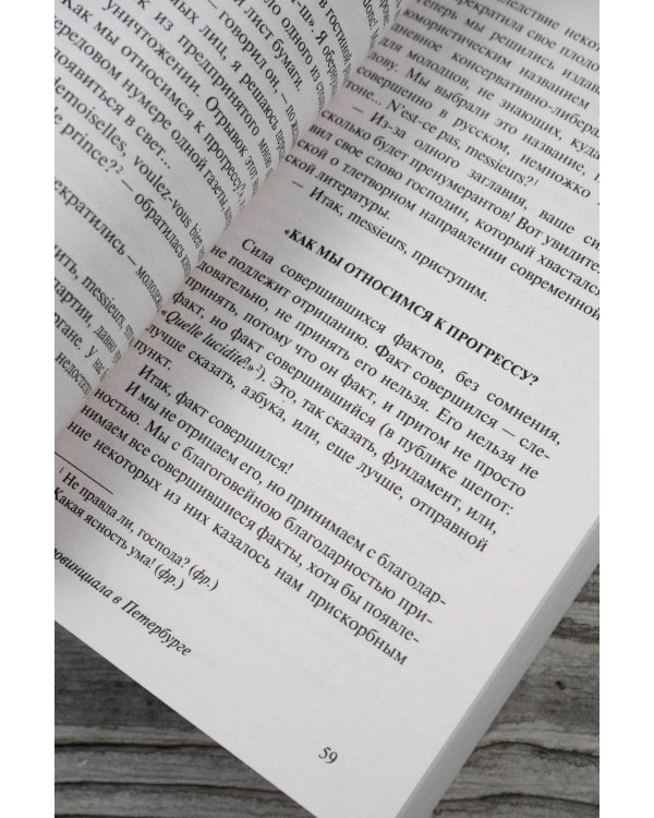 Дневник провинциала в Петербурге