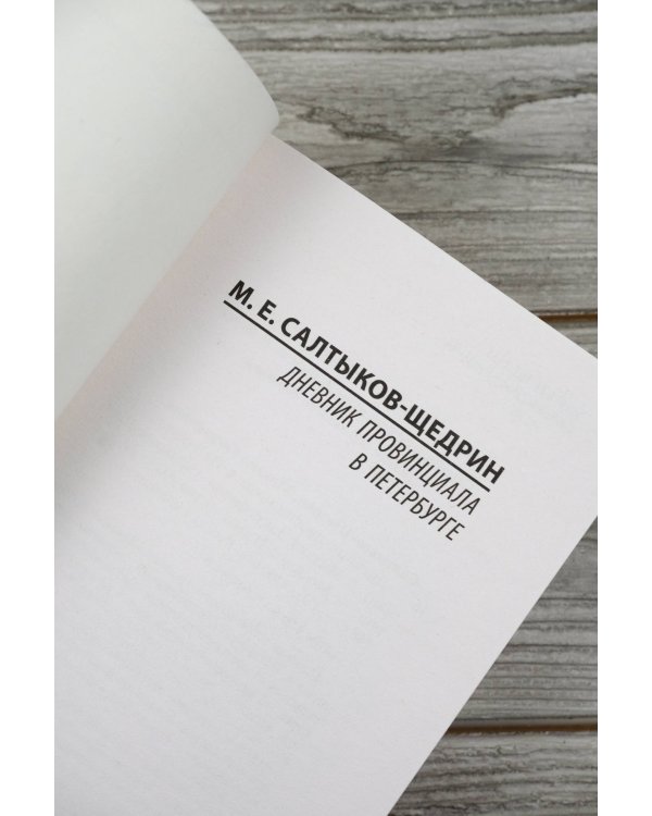 Дневник провинциала в Петербурге