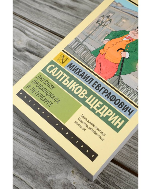 Дневник провинциала в Петербурге