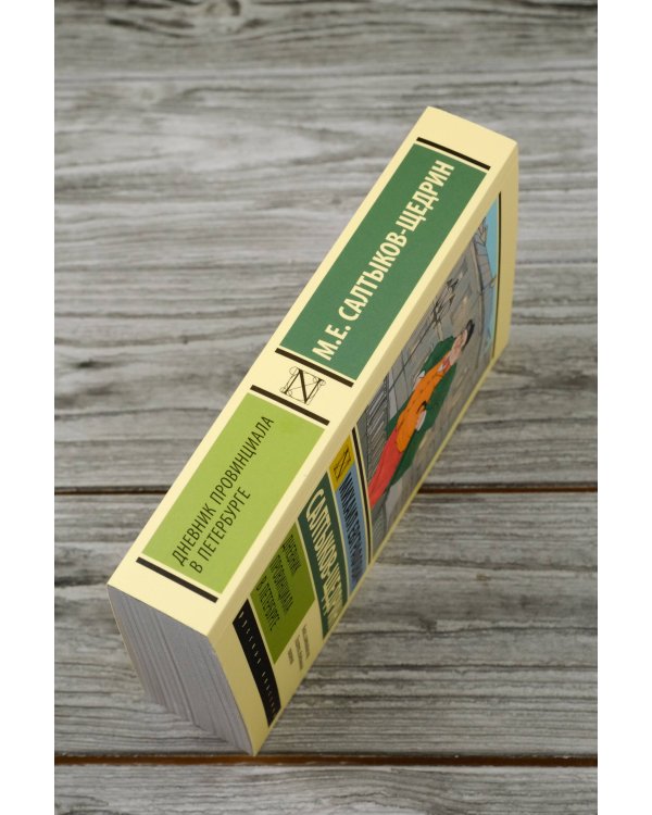 Дневник провинциала в Петербурге