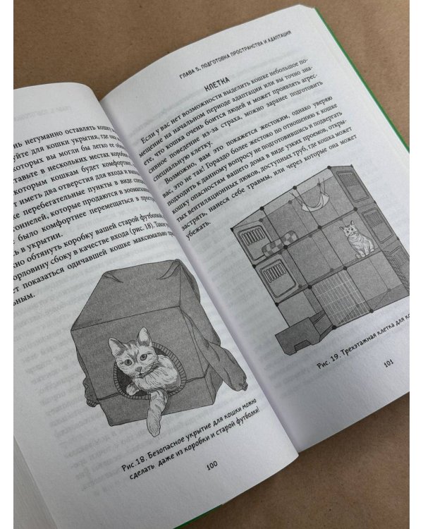 Здравствуйте, я ваша кошка! Руководство по уходу, общению и воспитанию