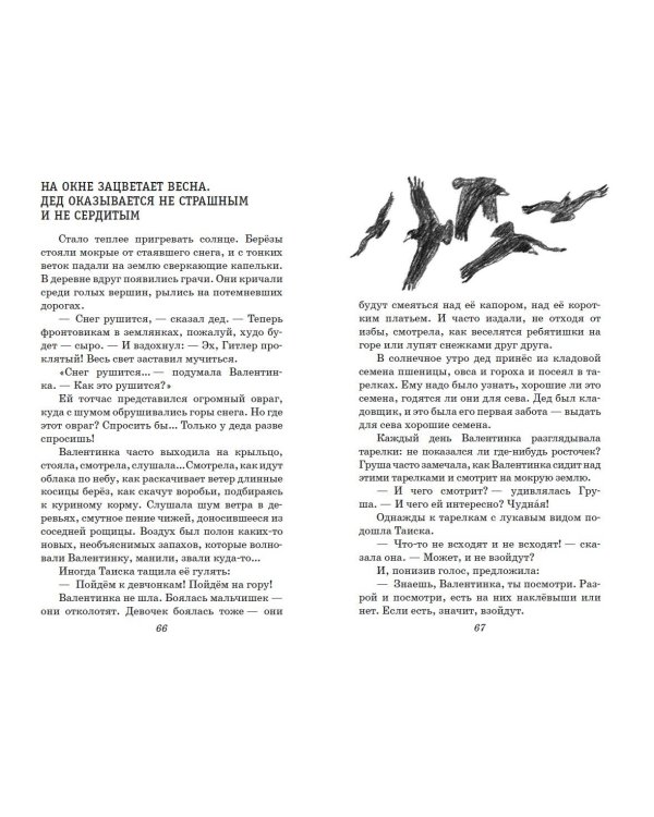 Девочка из города. Повести (ил. В. Гальдяева)