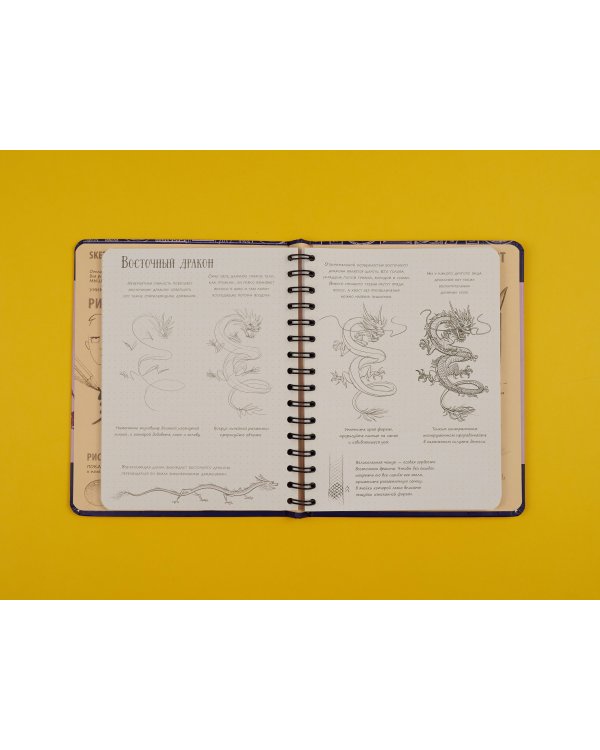 Sketchbook с уроками внутри. Рисуем Фантастических существ