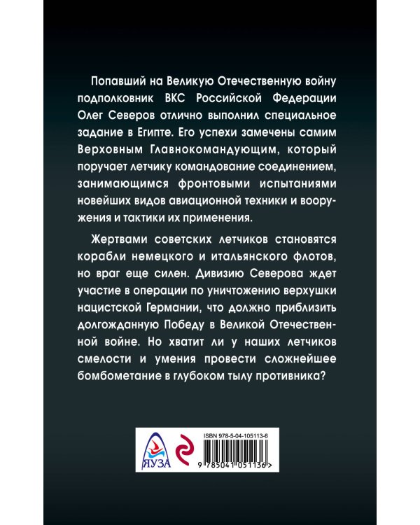 Сталинский сокол. Комдив