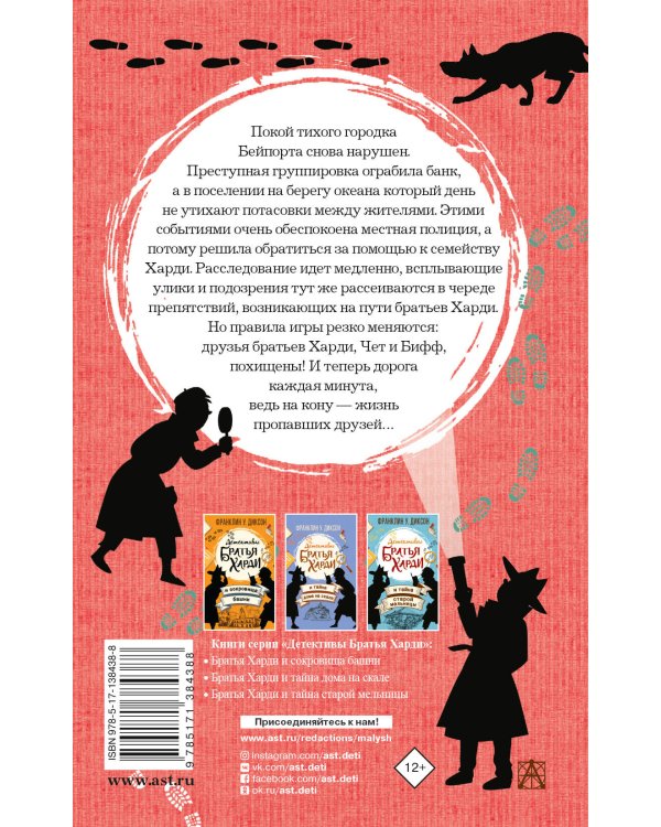 Братья Харди и тайна пропавших друзей