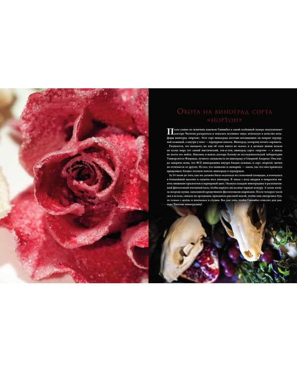 Накормить Ганнибала: поваренная книга ценителя