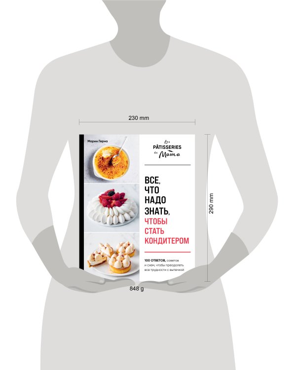 Все, что надо знать, чтобы стать кондитером.100 ответов, советов и схем, чтобы преодолеть все трудности с выпечкой
