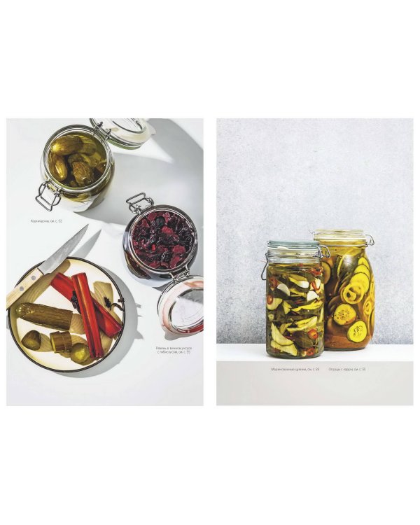 Консервирование по-скандинавски. Ферментация, маринование, сушка и авторские приправы