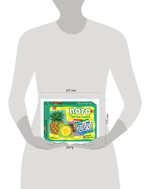 Лото "Часть-целое"