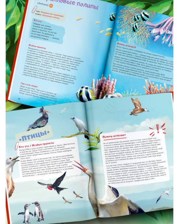 Красная книга планеты для детей. Редкие и исчезающие виды дикой природы