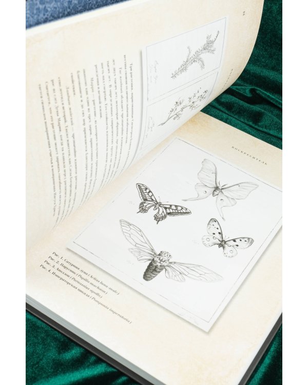 Воскреситель, или Анатомия фантастических существ: Утерянный труд доктора Спенсера Блэка