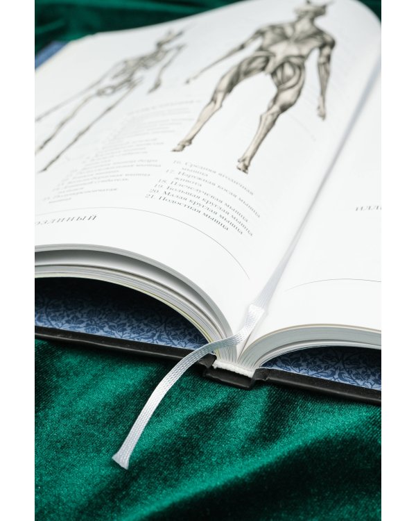 Воскреситель, или Анатомия фантастических существ: Утерянный труд доктора Спенсера Блэка