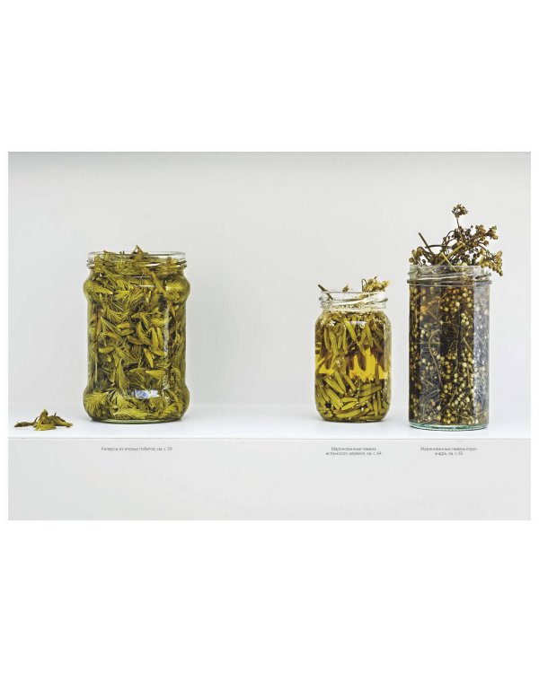 Консервирование по-скандинавски. Ферментация, маринование, сушка и авторские приправы