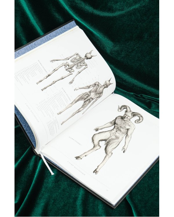 Воскреситель, или Анатомия фантастических существ: Утерянный труд доктора Спенсера Блэка