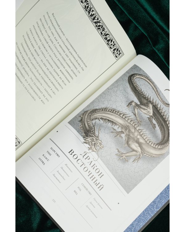 Воскреситель, или Анатомия фантастических существ: Утерянный труд доктора Спенсера Блэка