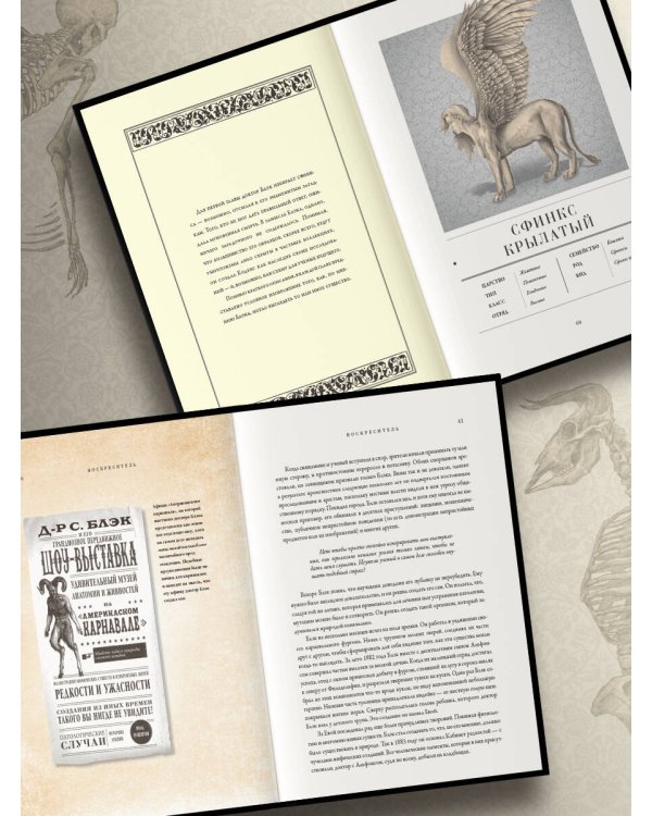 Воскреситель, или Анатомия фантастических существ: Утерянный труд доктора Спенсера Блэка