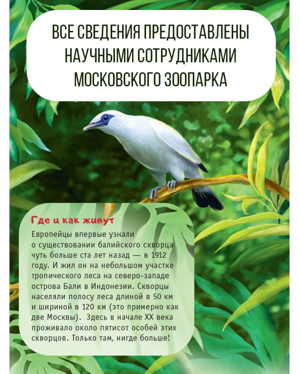 Красная книга планеты для детей. Редкие и исчезающие виды дикой природы